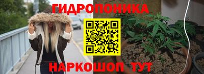 мдма Гусев